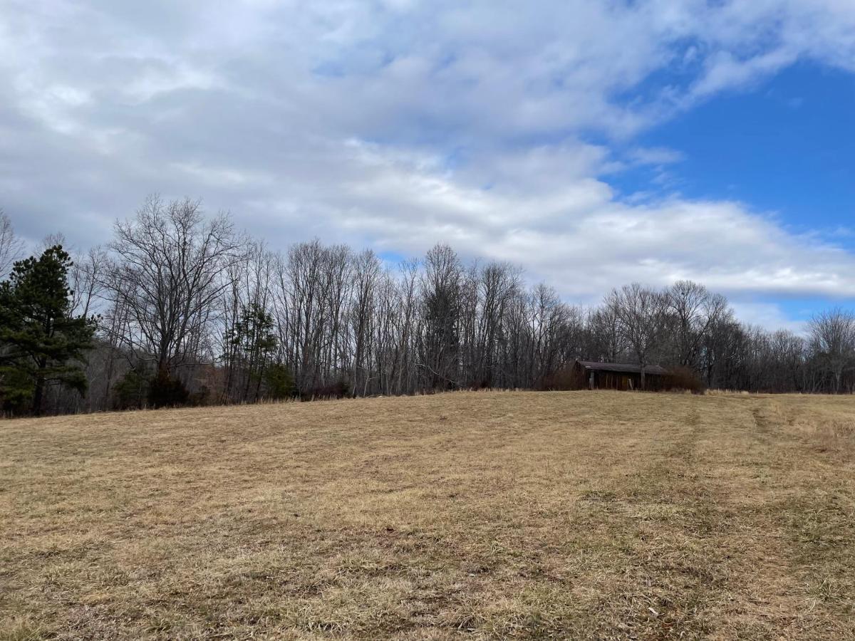 Giggling Creek Cottage - Bedjet! King Sized! Gazebo, 45 Acres, Arcades, Nintendo, More Henry Luaran gambar